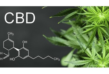 Tout savoir sur le CBD